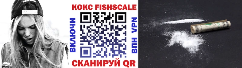 где можно купить наркотик  Саранск  Кокаин Fish Scale 