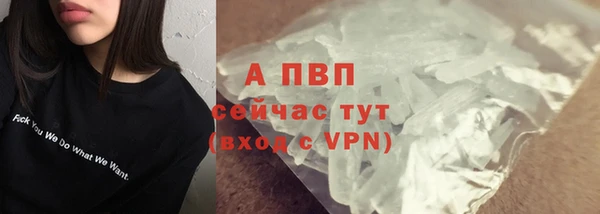 ПСИЛОЦИБИНОВЫЕ ГРИБЫ Краснослободск
