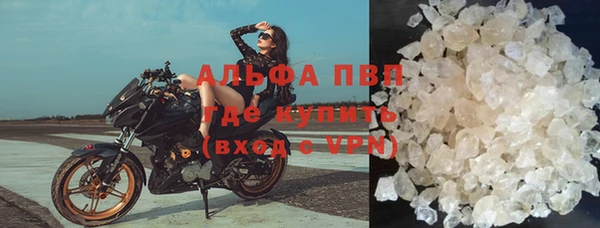 ПСИЛОЦИБИНОВЫЕ ГРИБЫ Краснослободск