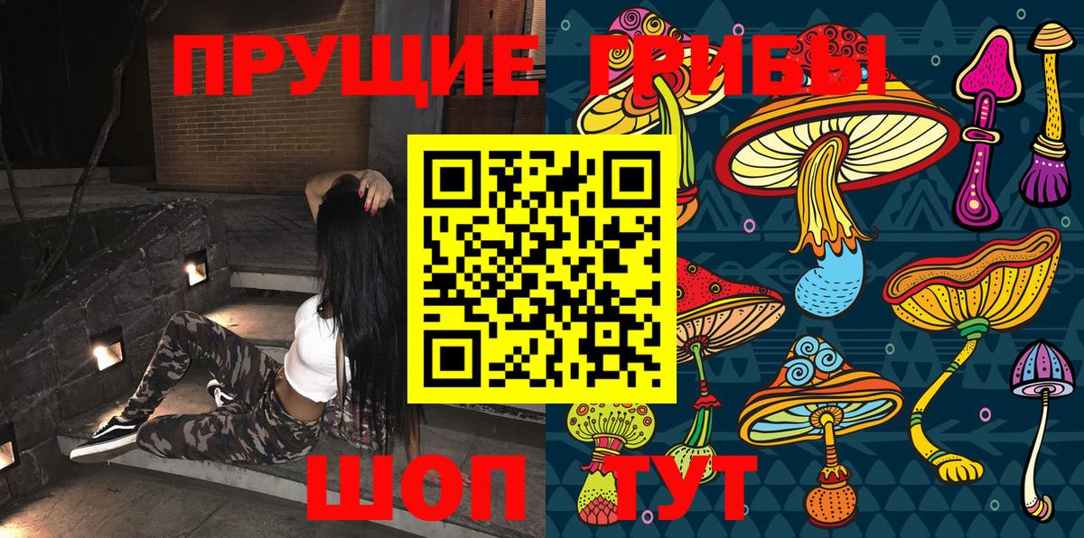 Галлюциногенные грибы Magic Shrooms Саранск