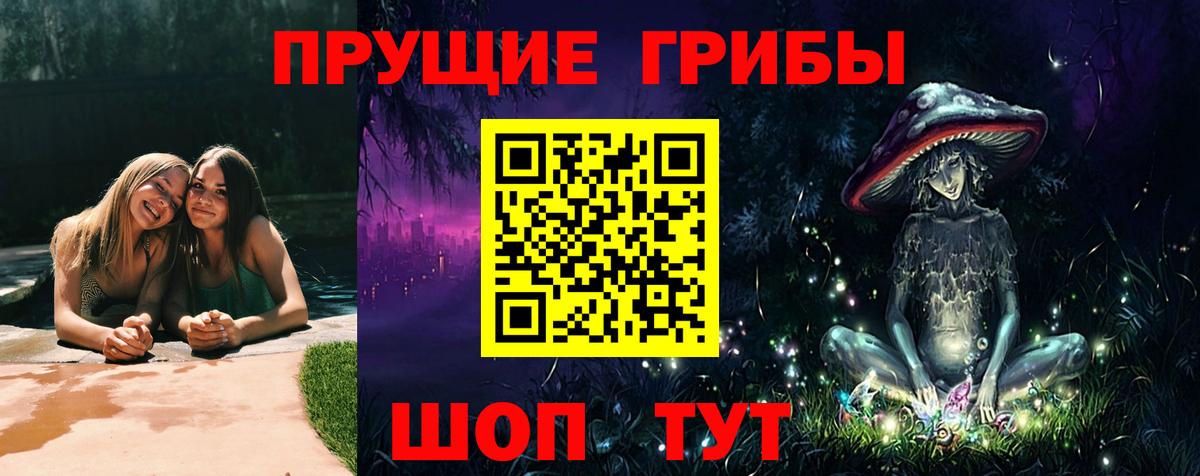 ГАШИШ Саранск